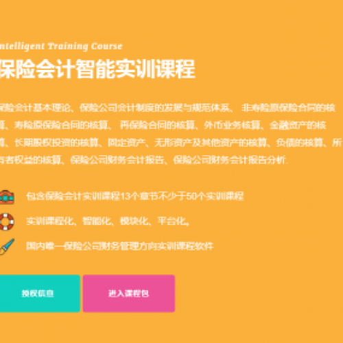 保险会计智能实训课程包